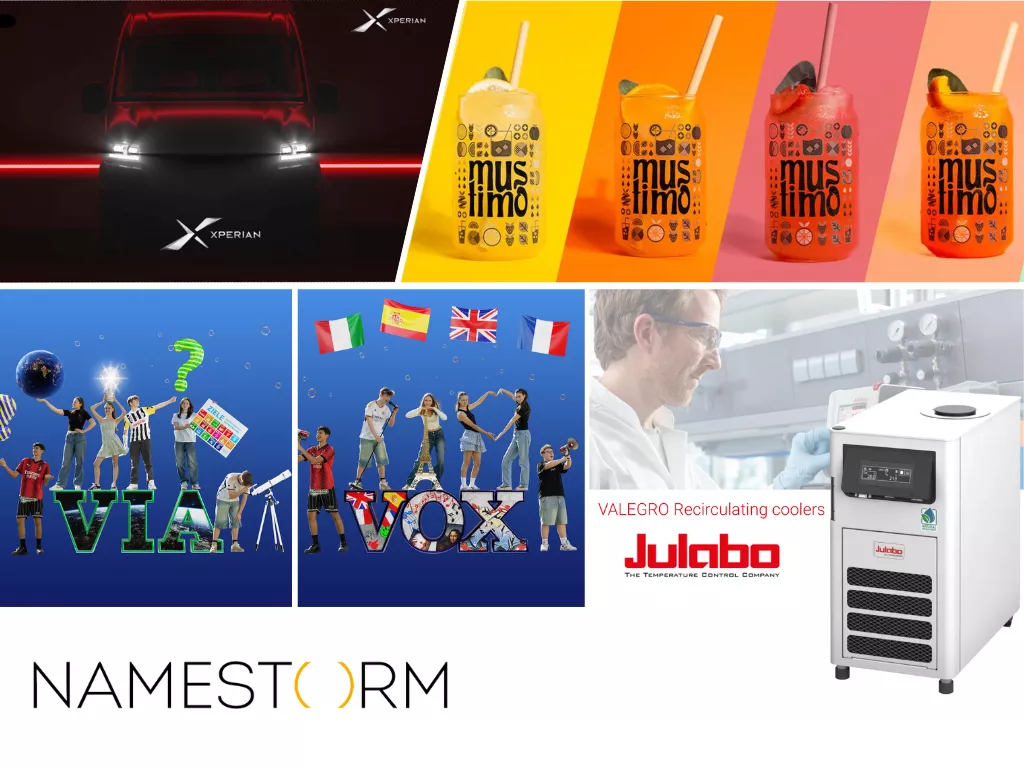 News Diversity Naming 2024 ENG News Diversity Naming 2024 ENG