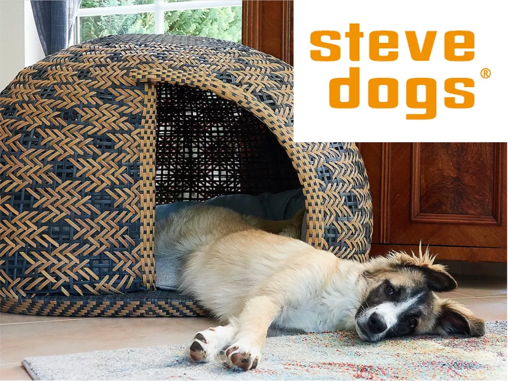 A relaxed dog lies half in a modern dog basket.